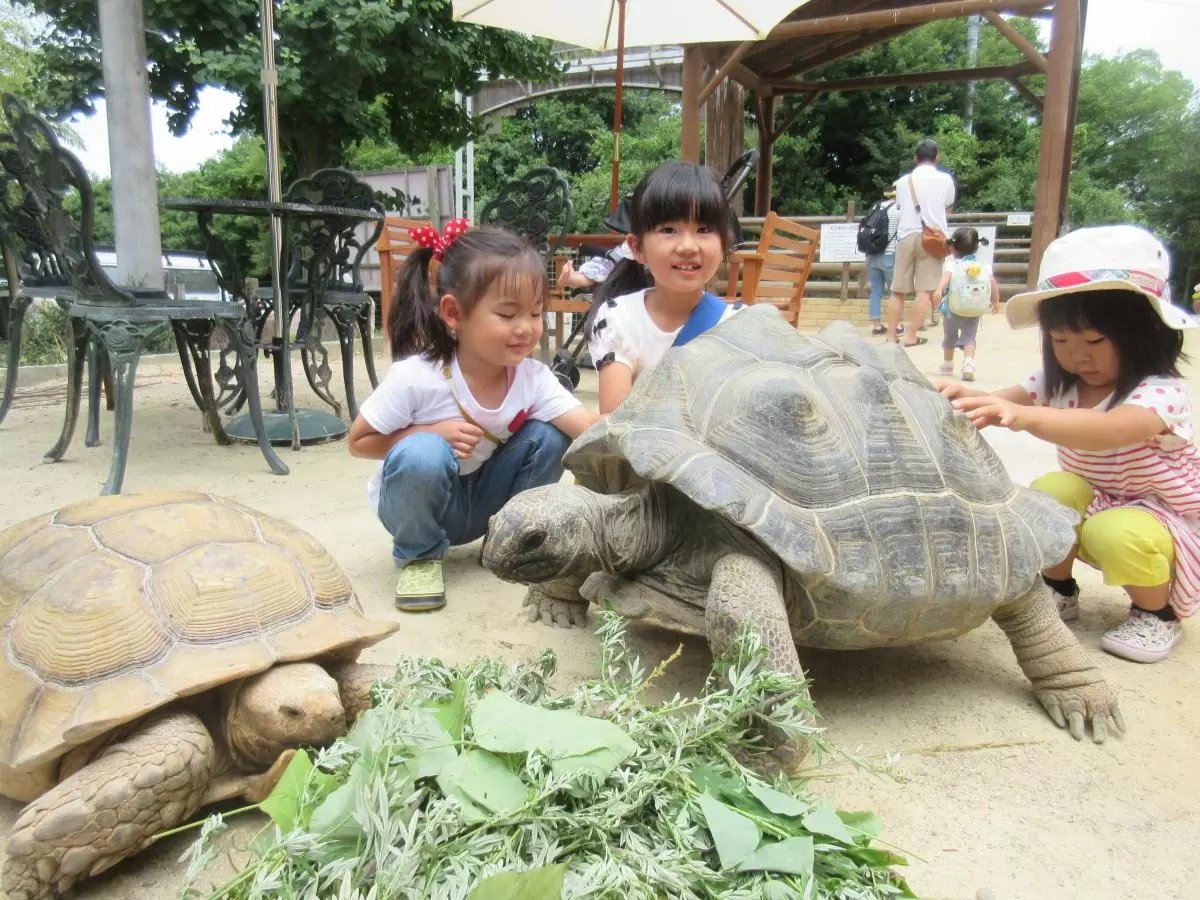 🏞️ 시부카와 동물공원(시부카와 도부츠코엔) 이미지 3